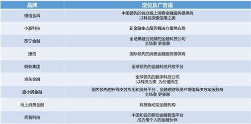 消費金融公司品牌戰(zhàn)略升級 聚焦金融信息服務(wù)的價值重塑與生態(tài)構(gòu)建